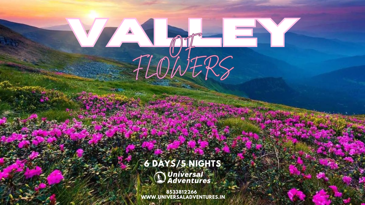 Valley of Flowers Package: Top Insights