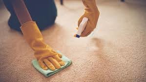 TIPS TO CLEAN YOUR CARPETS
