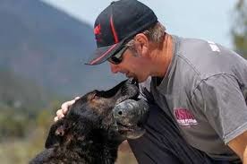 How to Start a Dog Training Business