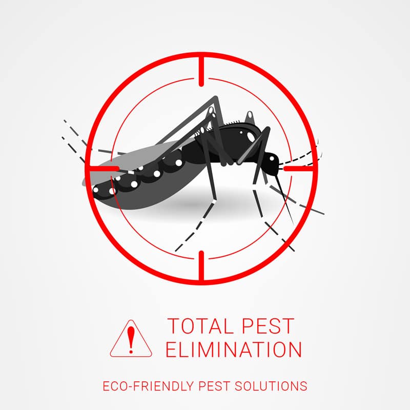 Residential, Commercial Total Pest Elimination, Control service Provider in Houston TX