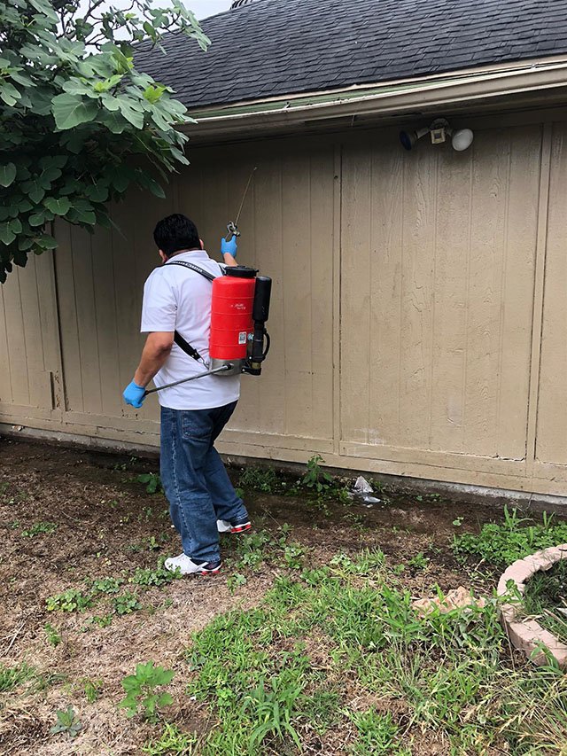 Building, Facilities Pest Elimination, Control Services in Houston Texas