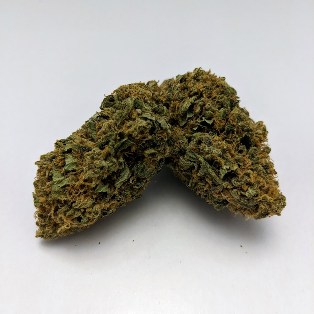 Bubble Hash for Sale | Green Light Extotics