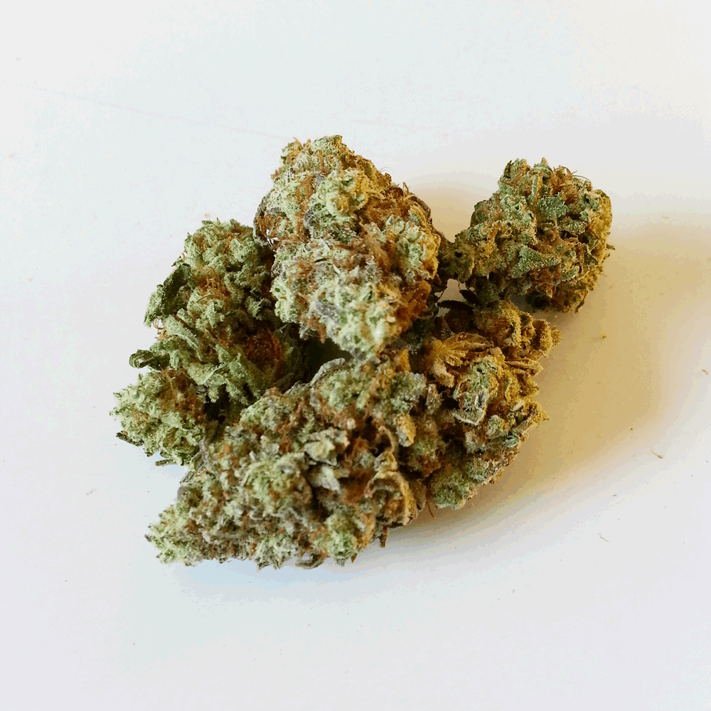 Buy Hindu Kush Online | Green Light Extotics