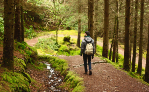 Travel Apps to make solo travel easier