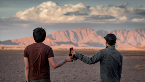 Amazing Apps To Meet travel buddies