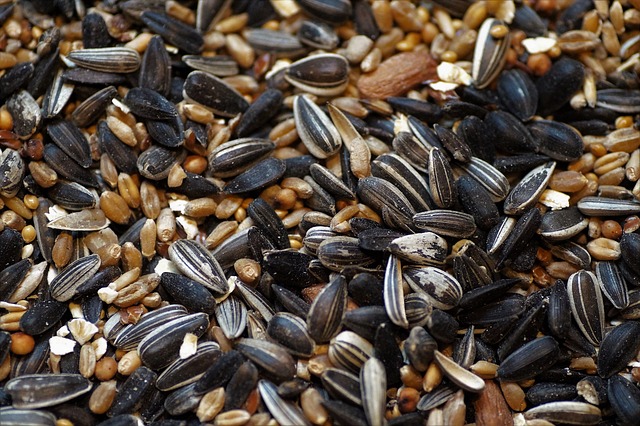 Poultry Feed Market Report, History and Forecast 2020-2030, Breakdown Data by Manufacturers, Key Regions, Types and Application