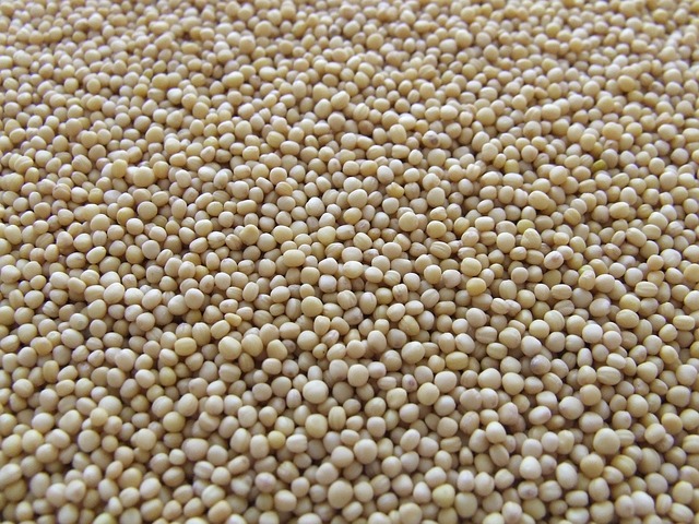 Mustard Seed Market Growth Opportunities | Emerging Trends | Industry Review | Global Forecast by 2027
