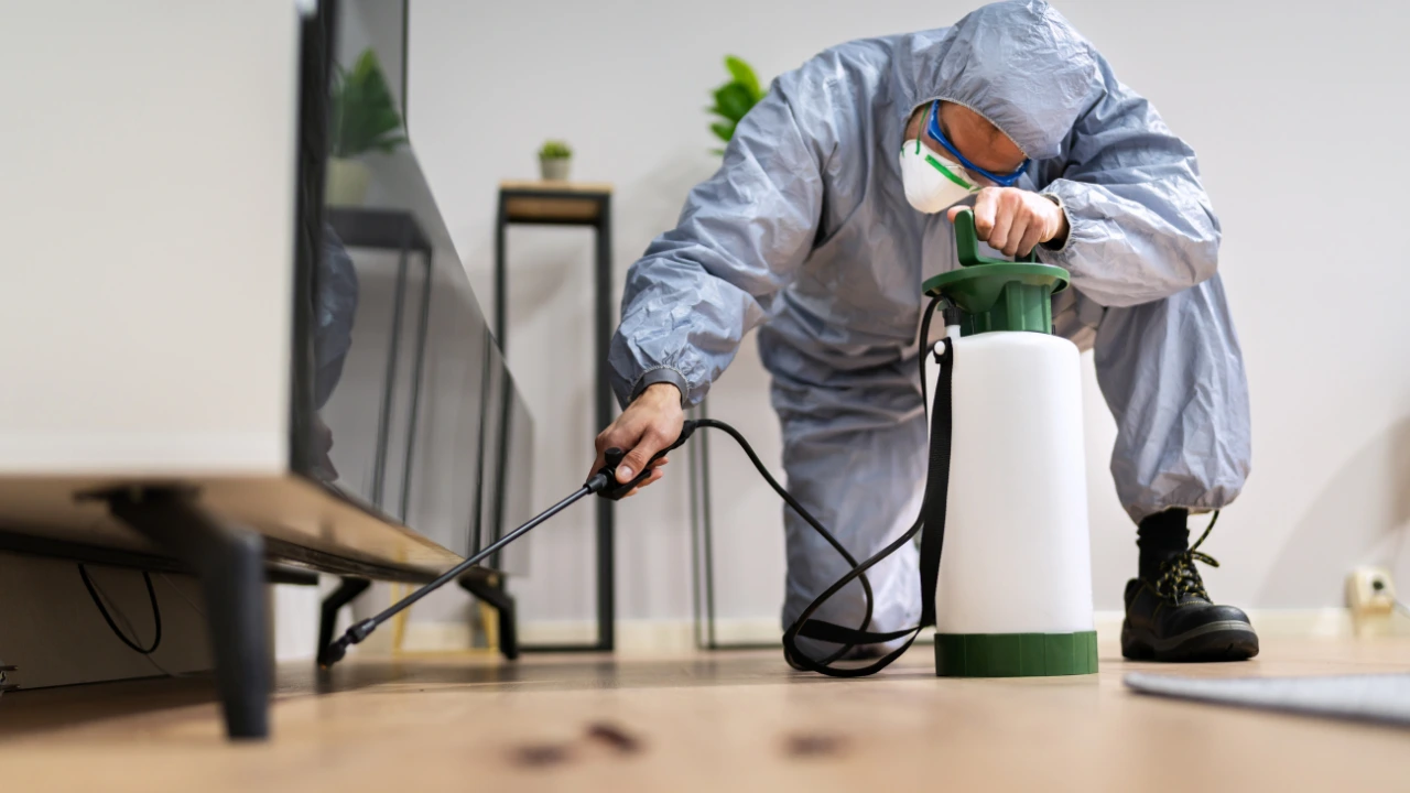 How Do Termites Enter Your Home?