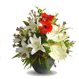 Flowers Delivery Near Me