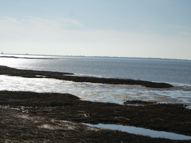 Beaches in Washington DC
