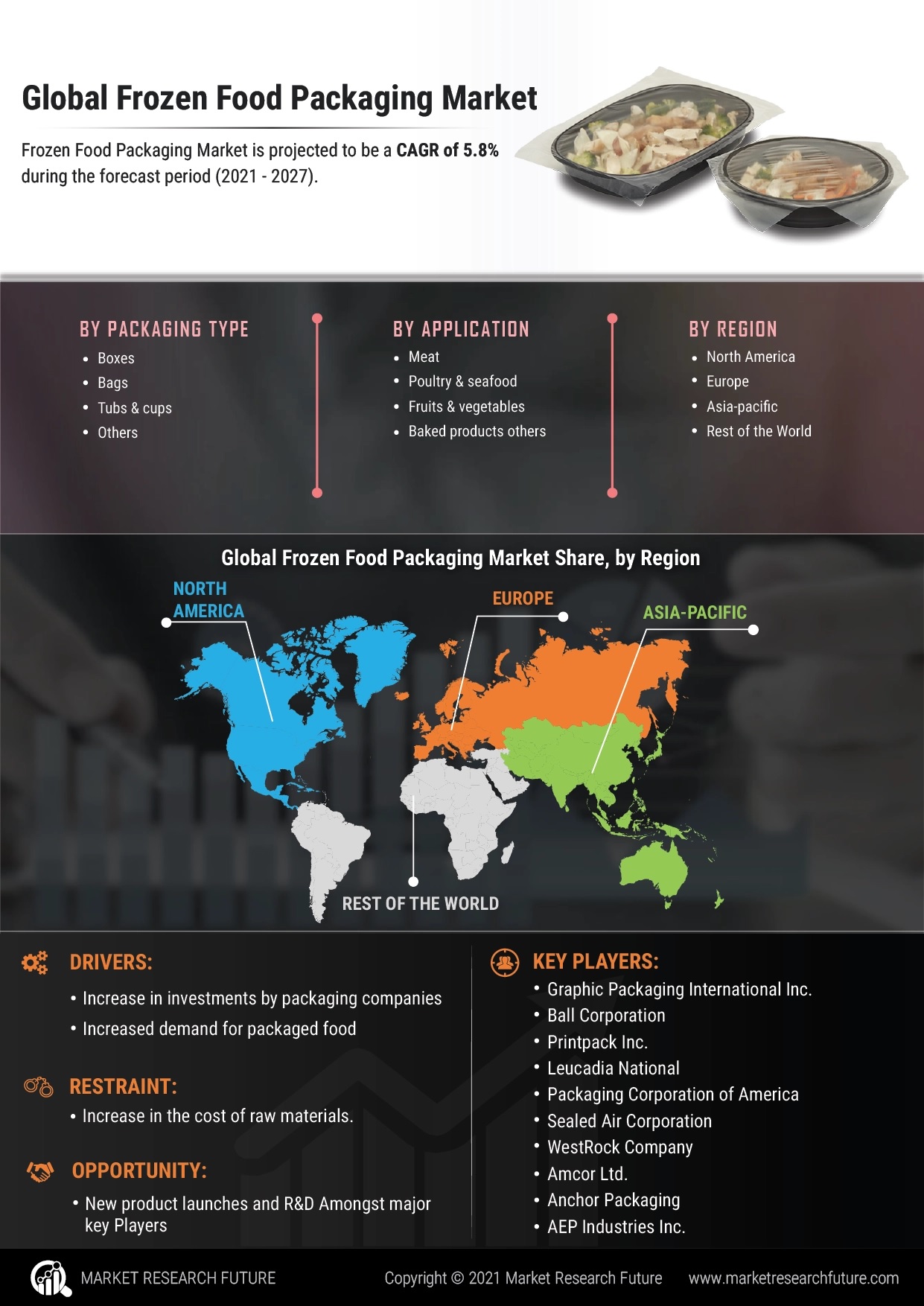 Frozen Food Packaging Market Size, Insights and Global Outlook During 2020 to 2027