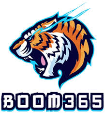 BOOM365 – Tương Lai của Kết Nối Kỹ Thuật Số Có Tổ Chức