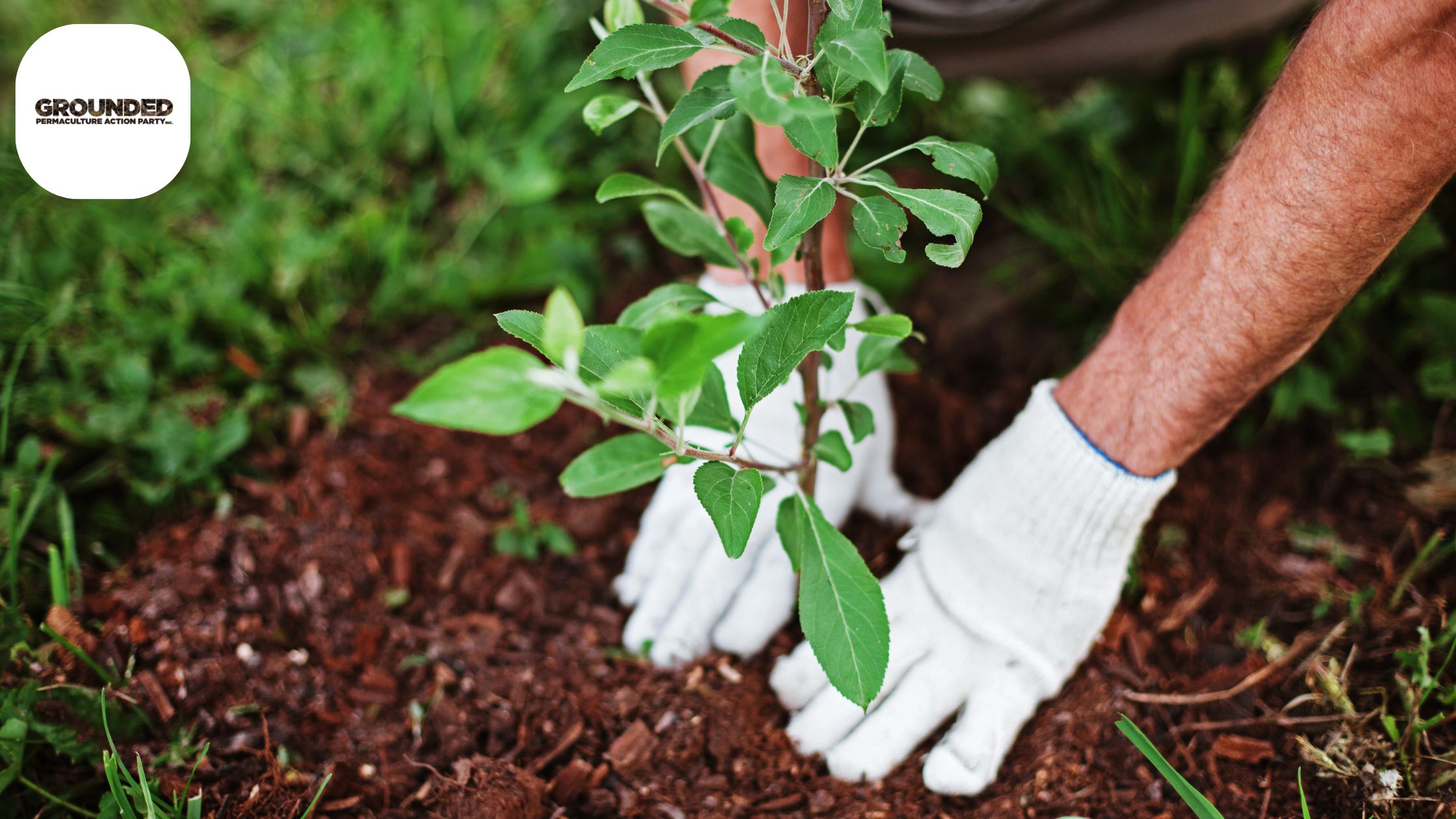 PDC Course: Learn to Design Sustainable, Regenerative Systems