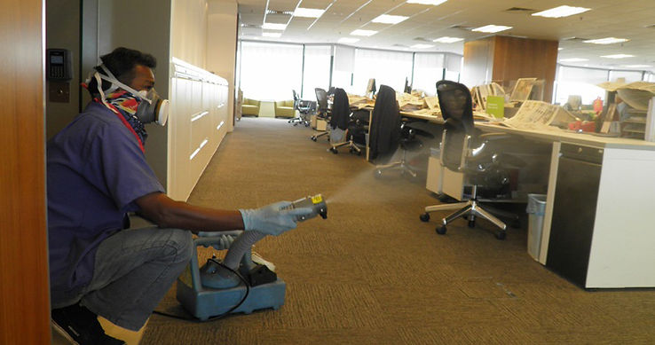 Expert Pest Control Solutions from AntiPest Solutions