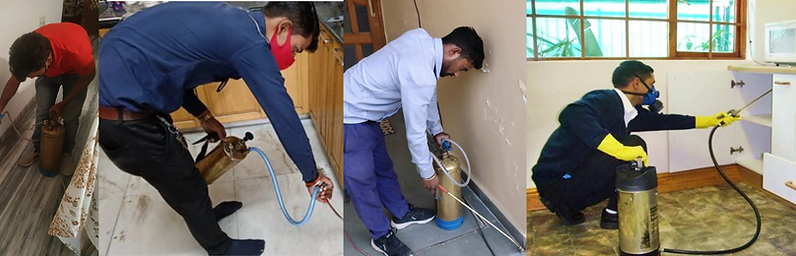 Are You Facing a Pest Problem? Find the Best Pest Control in Mohali