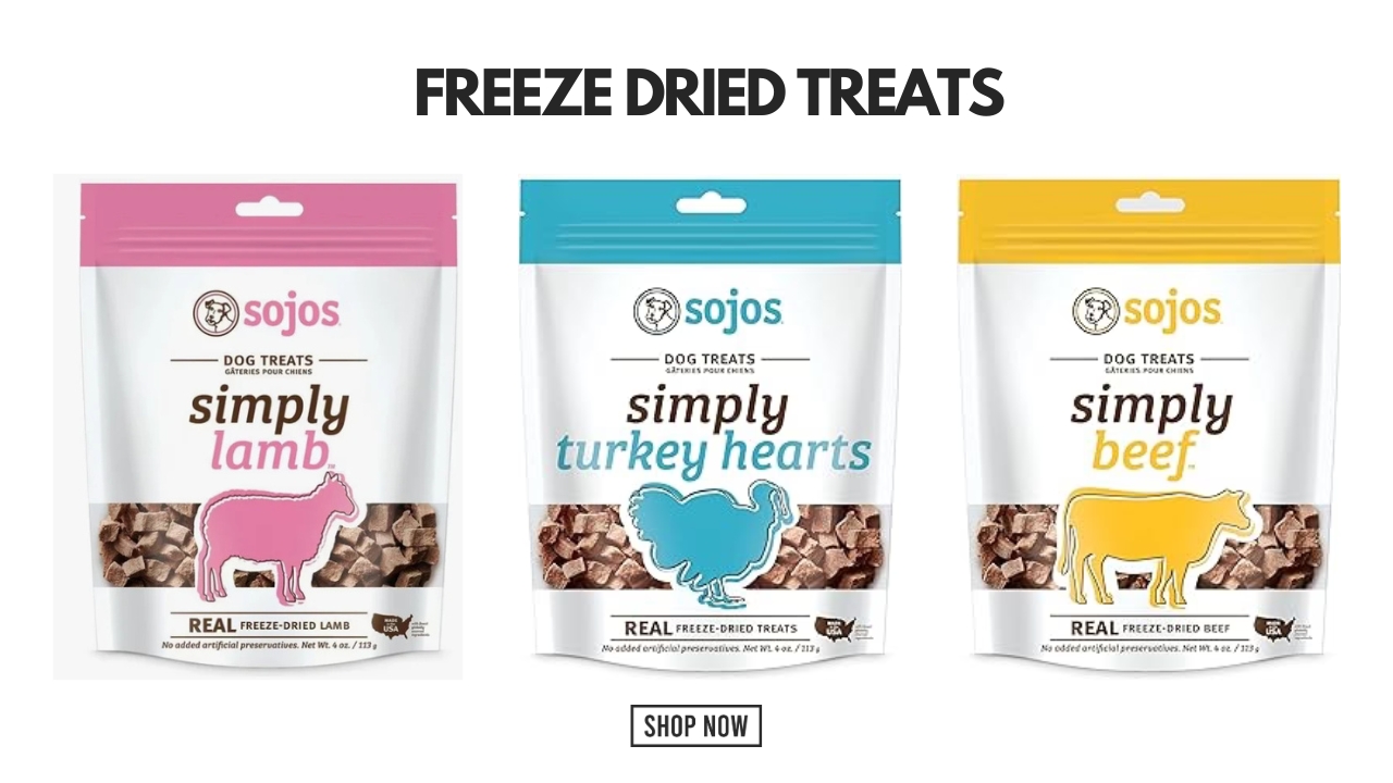 Why Freeze Dried Treats Are the Best Choice for Your Pet's Health and Happiness