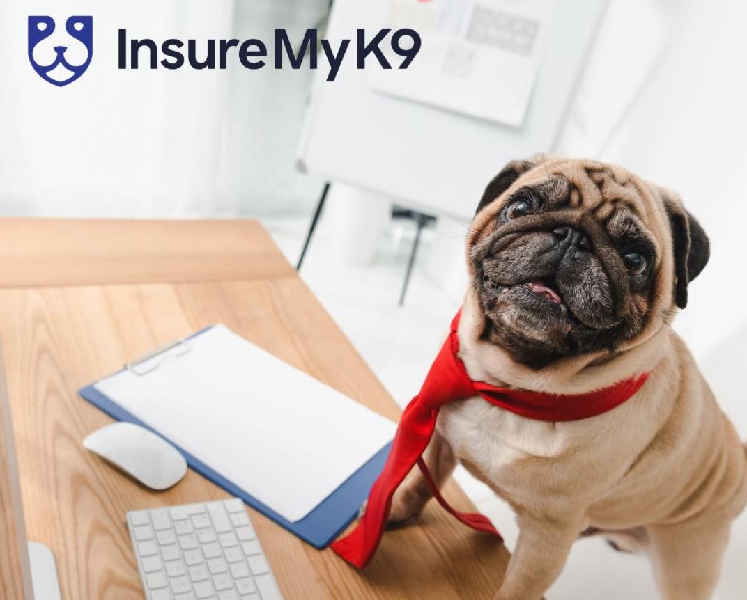 Dog Liability Insurance for Renters