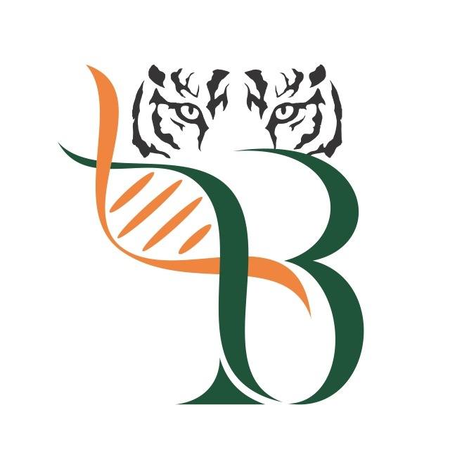 Malaria Detection Kit and HPV Kit by 3B BlackBio: Reliable Tools for Targeted Diagnosis