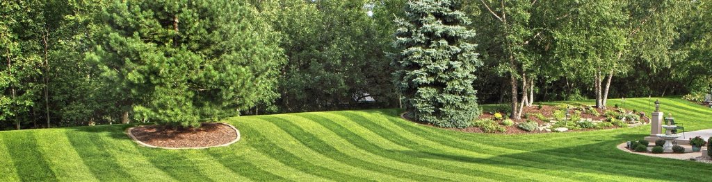 Landscape Grass In Dubai