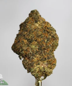 Bulk Weed Delivery Toronto: How It Works