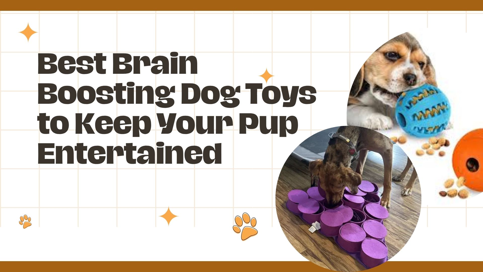  10 Best Dog Enrichment Toys in Canada for Mental Stimulation