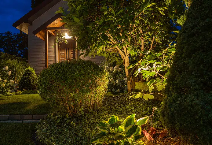 Expert Tips from Houston Landscaping Services for a Low-Maintenance Garden