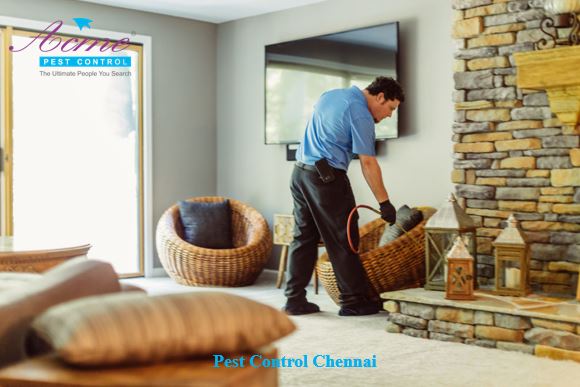 Pest Control Chennai