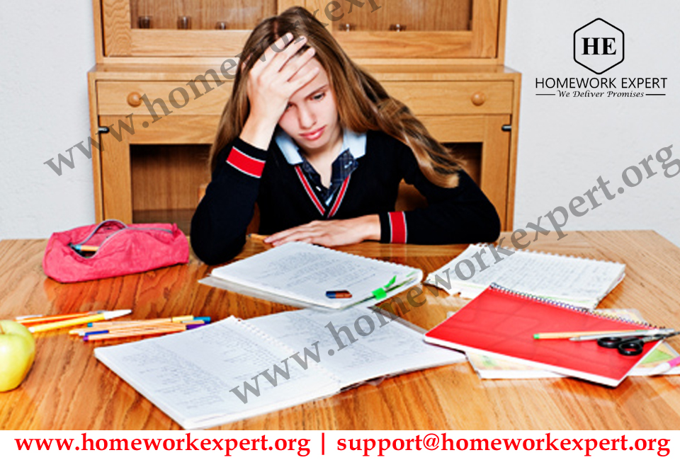 Bioinformatics Assignment Help at Homework Expert