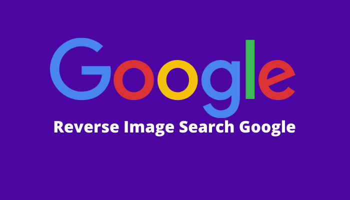 Google Reverse Image Search