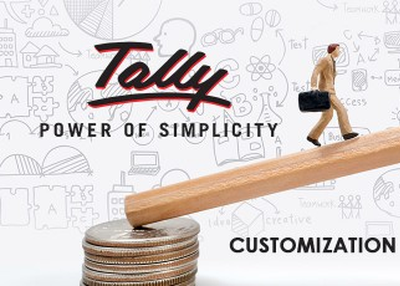 Why Customized Tally Software For Your Business Needs
