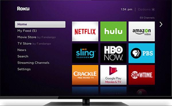 Brief Description About the Roku Player