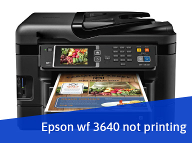 Best Solution For Epson WF 3640 Not Printing Issue