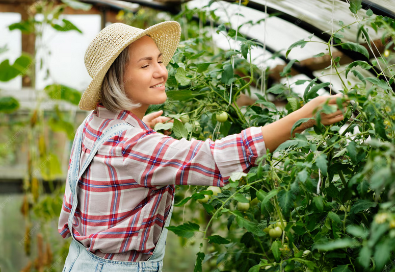 The Applications of Plant Protection Nets