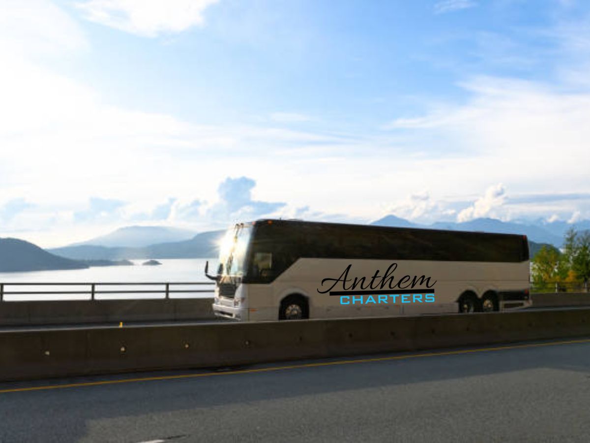Everything You Need to Know About Vancouver to Victoria Private Tours