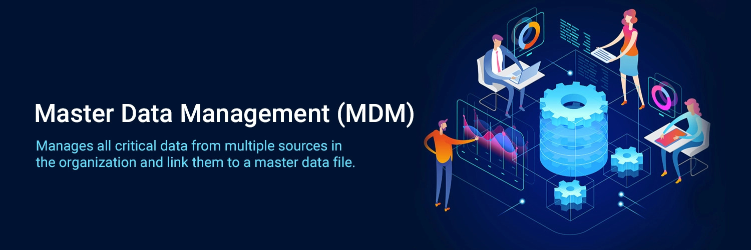 Cloud Master Data Management Software