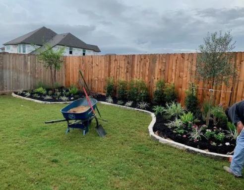 Backyard Landscape  