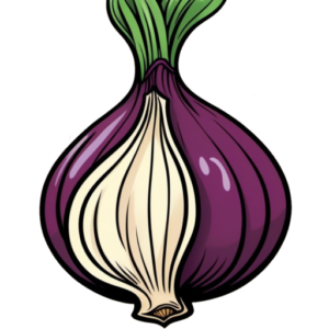 DNM Links & Onion Links: Your Guide to Accessing Trusted Darknet Markets