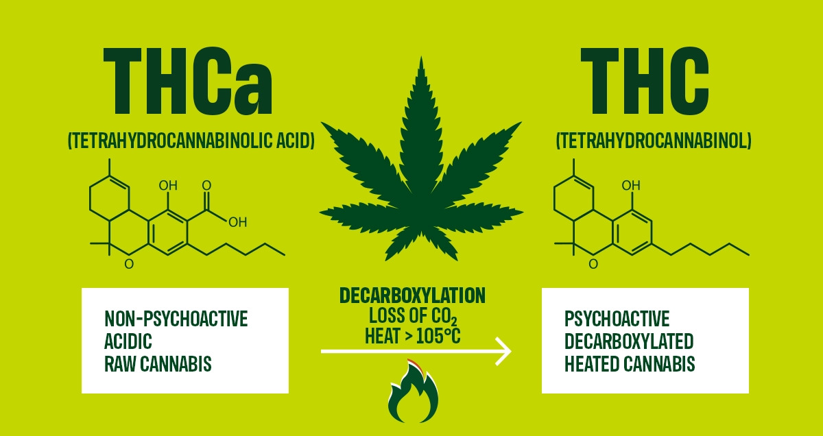 What Is The Difference Between THC And THCA?