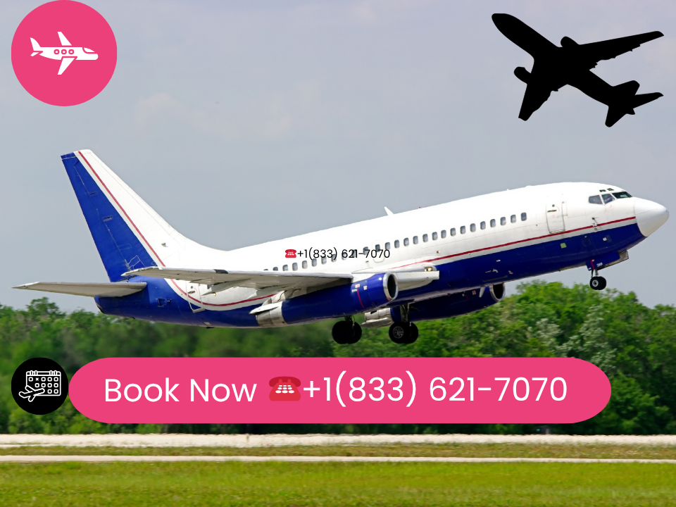 Can I change group flight time on American Airlines by phone?