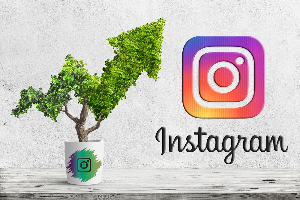 Your Guide to Free, Natural Instagram Engagement Growth