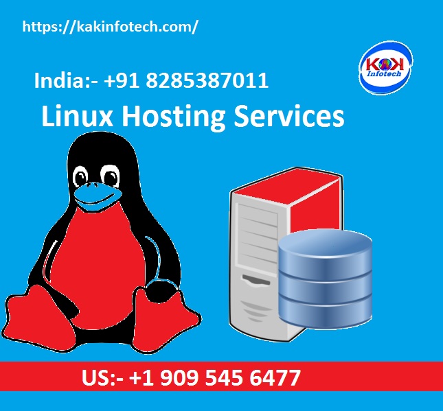 Linux Shared web Hosting Starts @Rs 39/month In India