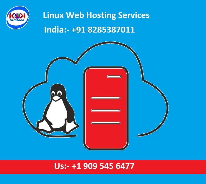 Linux Web Hosting Services Provider in India