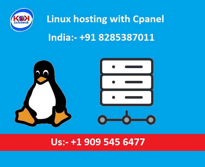 Linux hosting with Cpanel Available at Affordable Price