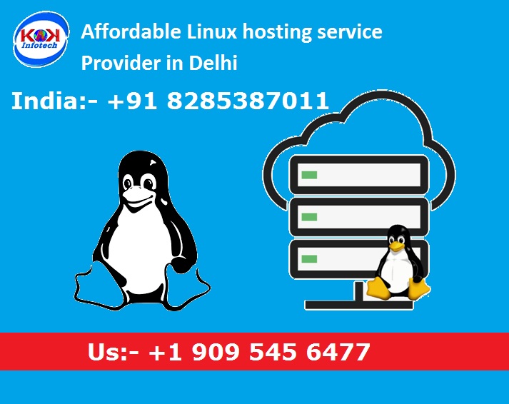 Affordable Linux hosting service Provider in Delhi