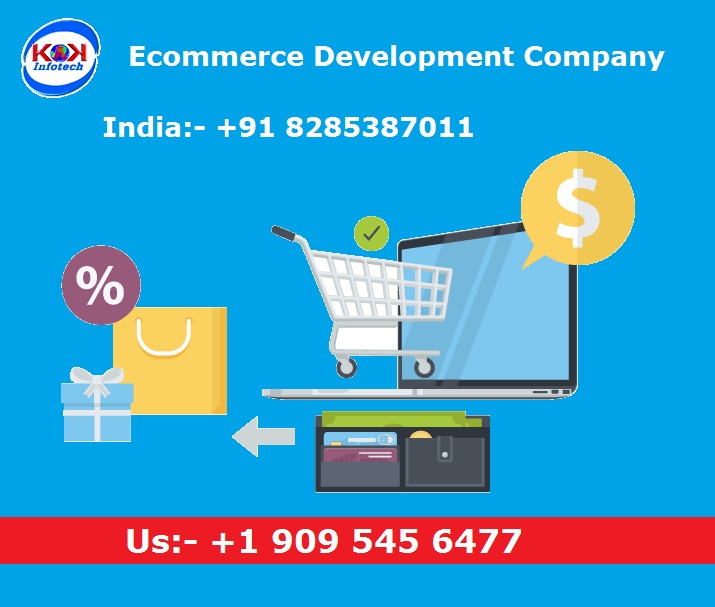 Ecommerce Development Company in Delhi (delhi, India, Other Countries)
