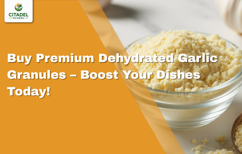 Buy Premium Dehydrated Garlic Granules – Boost Your Dishes Today!