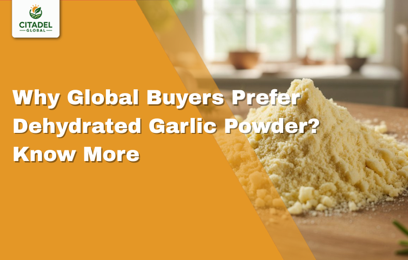 Why Global Buyers Prefer Dehydrated Garlic Powder? Know More