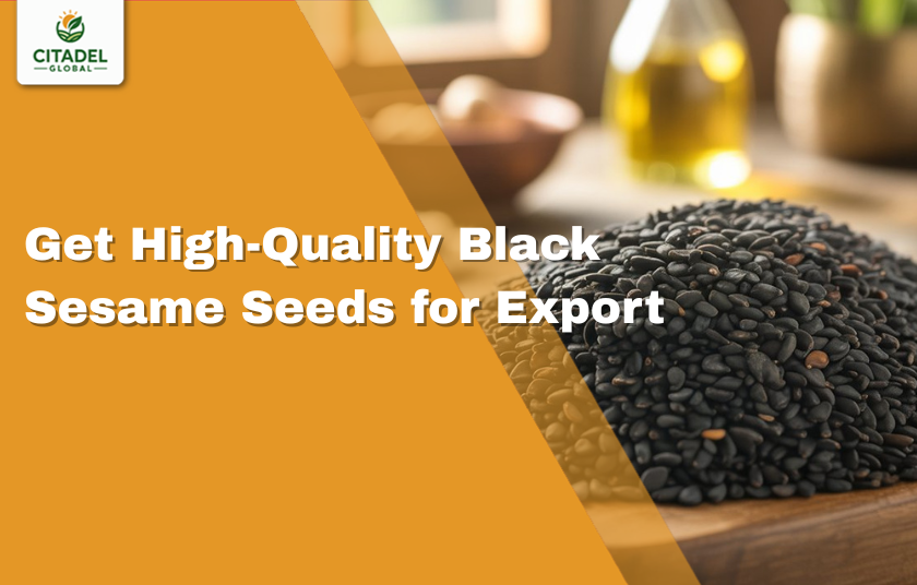 Get High-Quality Black Sesame Seeds for Export