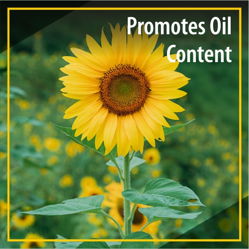 Weed Control and Herbicides : Peptech Biosciences Ltd