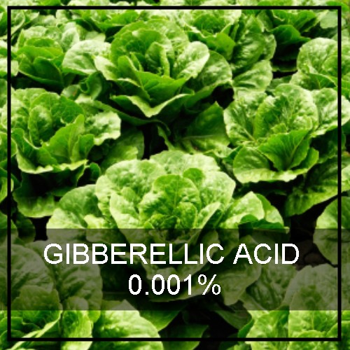 Organic Fruit Development Manipulator Gibberellic acid